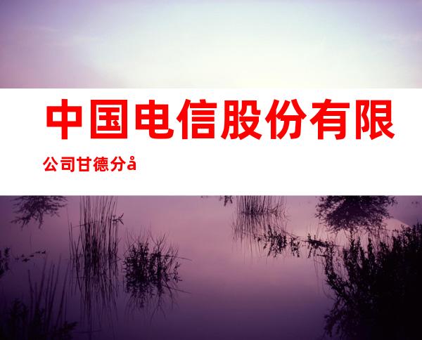 中国电信股份有限公司甘德分公司