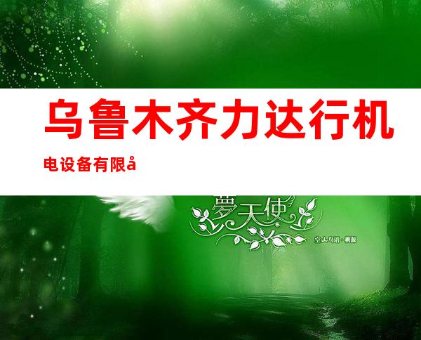 乌鲁木齐力达行机电设备有限公司
