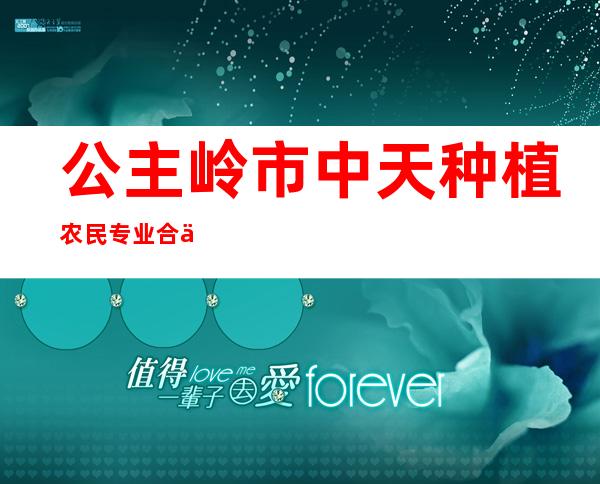 公主岭市中天种植农民专业合作社