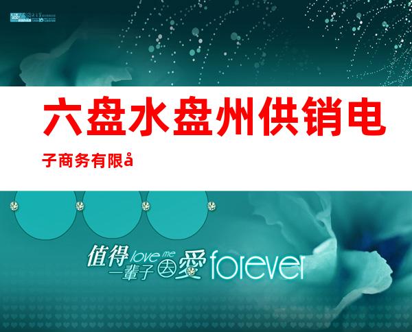 六盘水盘州供销电子商务有限公司