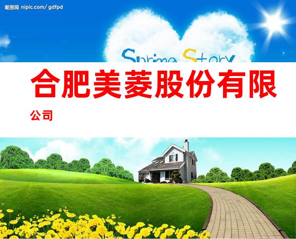 合肥美菱股份有限公司