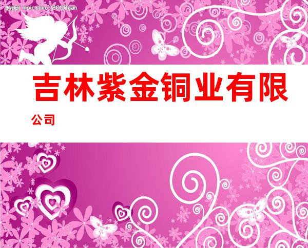 吉林紫金铜业有限公司
