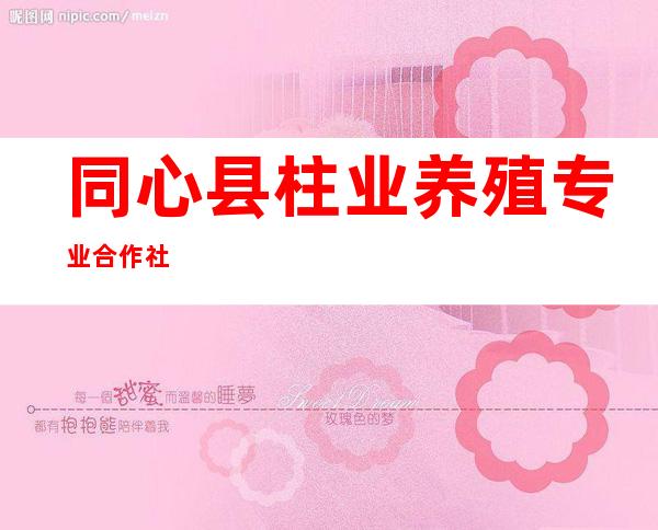 同心县柱业养殖专业合作社