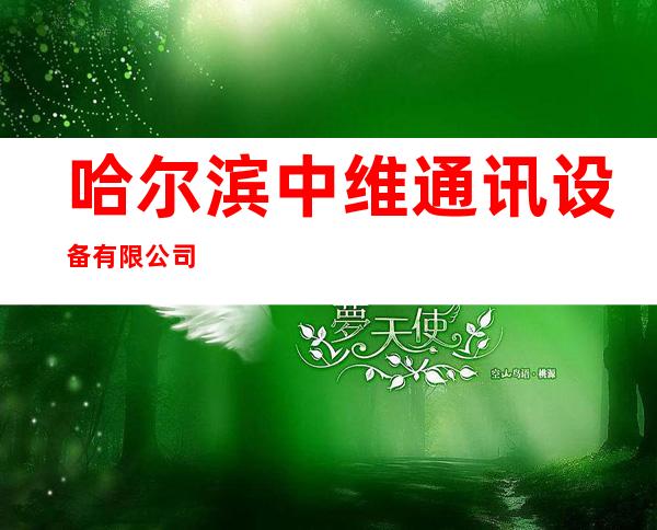 哈尔滨中维通讯设备有限公司
