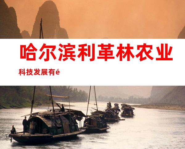 哈尔滨利革林农业科技发展有限责任公司