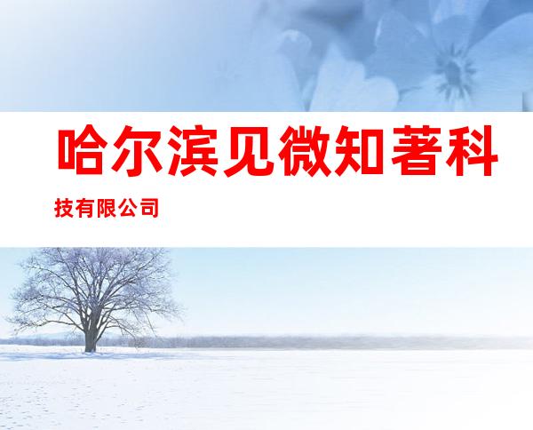 哈尔滨见微知著科技有限公司