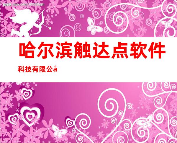 哈尔滨触达点软件科技有限公司