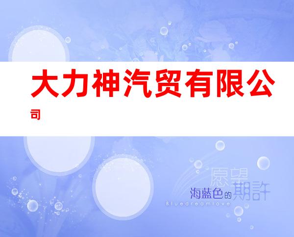 大力神汽贸有限公司