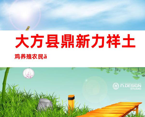 大方县鼎新力祥土鸡养殖农民专业合作社