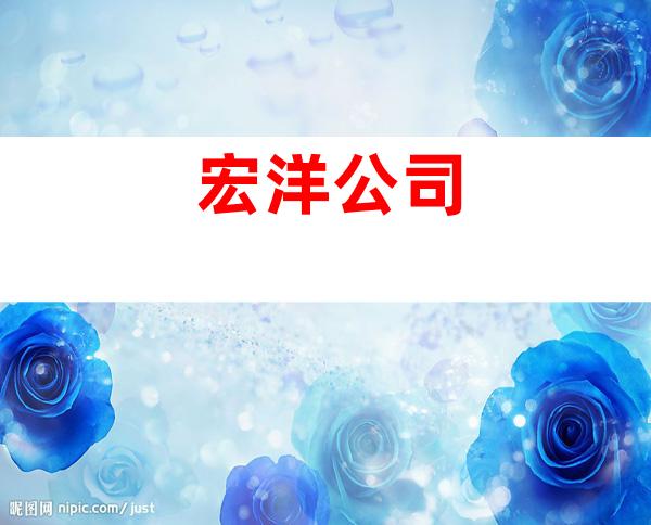 宏洋公司