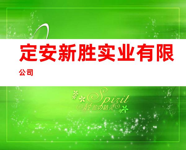 定安新胜实业有限公司