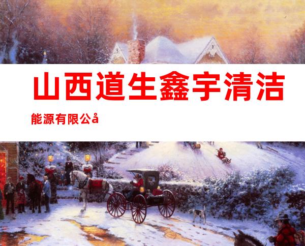 山西道生鑫宇清洁能源有限公司