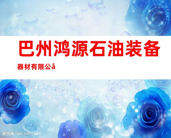 巴州鸿源石油装备器材有限公司