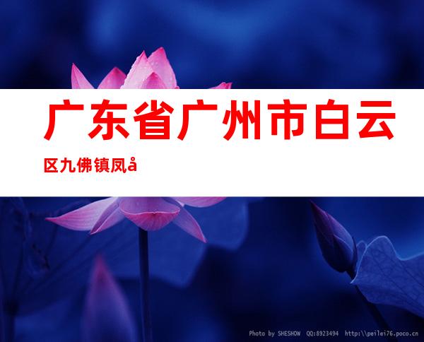 广东省广州市白云区九佛镇凤尾村惠亚电子城4227室