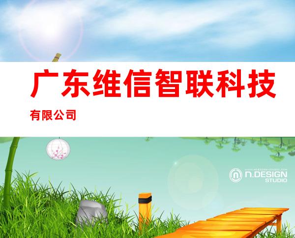 广东维信智联科技有限公司