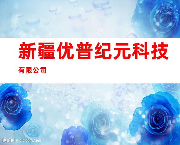 新疆优普纪元科技有限公司