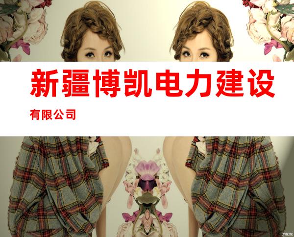 新疆博凯电力建设有限公司
