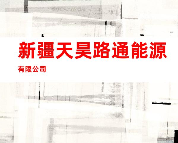 新疆天昊路通能源有限公司