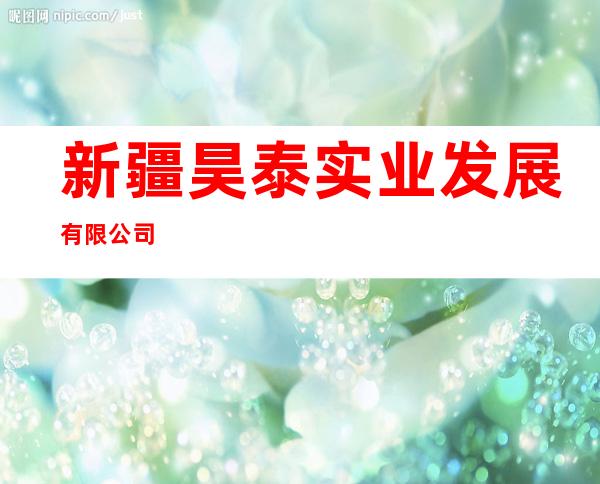 新疆昊泰实业发展有限公司