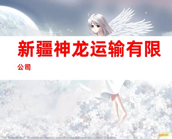 新疆神龙运输有限公司