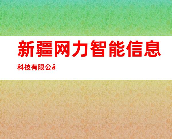 新疆网力智能信息科技有限公司