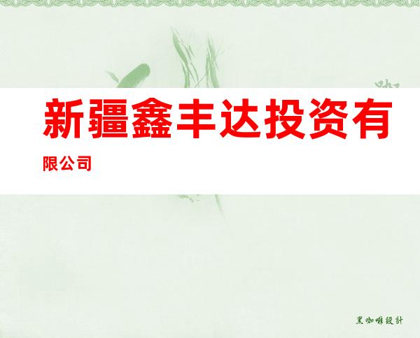 新疆鑫丰达投资有限公司