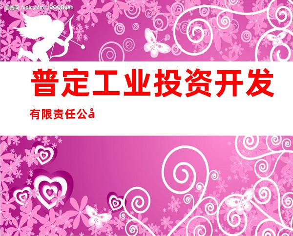 普定工业投资开发有限责任公司