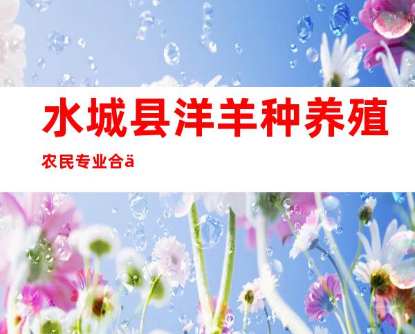 水城县洋羊种养殖农民专业合作社