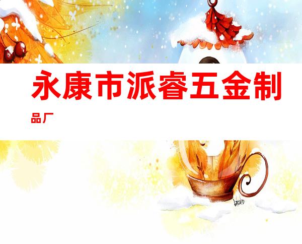 永康市派睿五金制品厂
