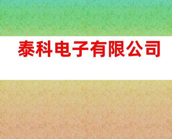 泰科电子有限公司