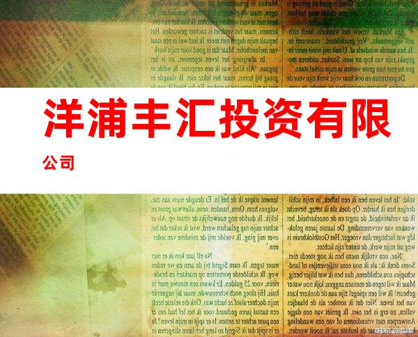 洋浦丰汇投资有限公司