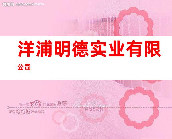 洋浦明德实业有限公司