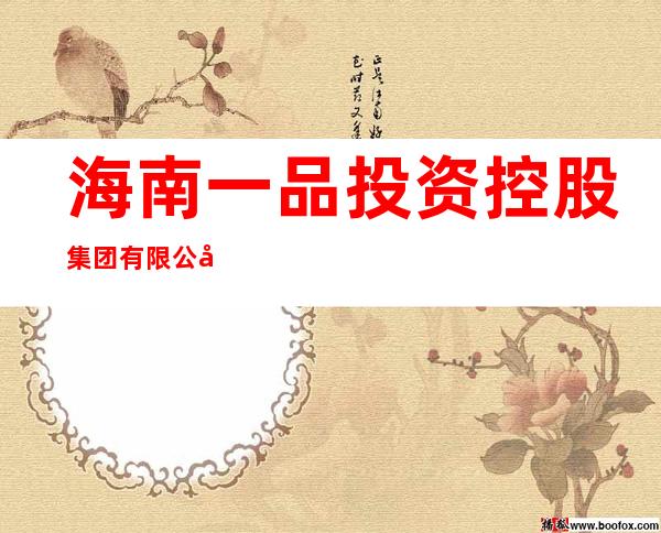 海南一品投资控股集团有限公司