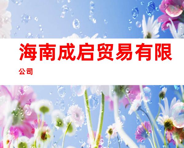 海南成启贸易有限公司