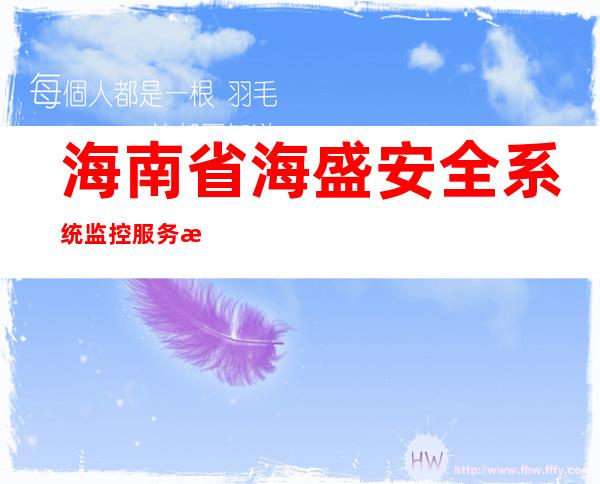 海南省海盛安全系统监控服务有限公司