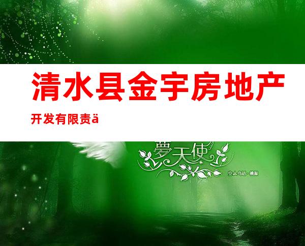 清水县金宇房地产开发有限责任公司