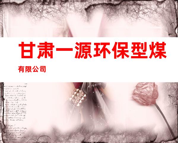 甘肃一源环保型煤有限公司