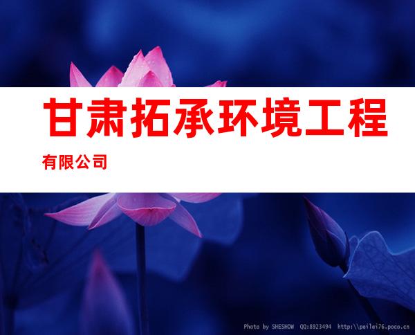甘肃拓承环境工程有限公司