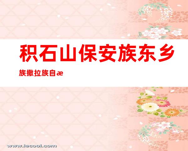 积石山保安族东乡族撒拉族自治县农村信用合作联社