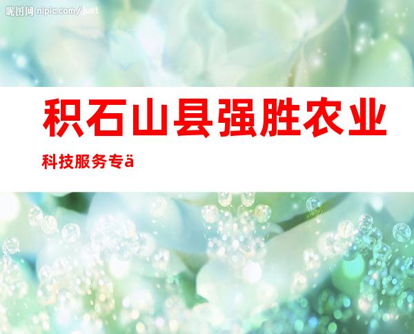 积石山县强胜农业科技服务专业合作社