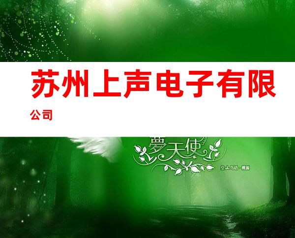 苏州上声电子有限公司