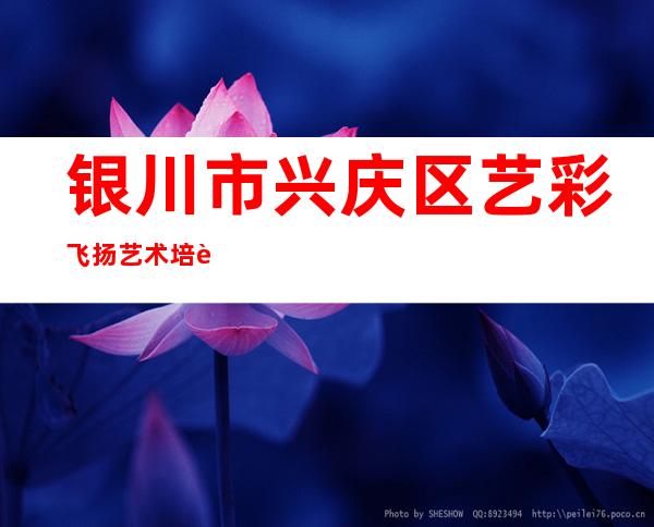 银川市兴庆区艺彩飞扬艺术培训学校有限公司