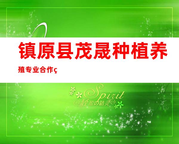 镇原县茂晟种植养殖专业合作社