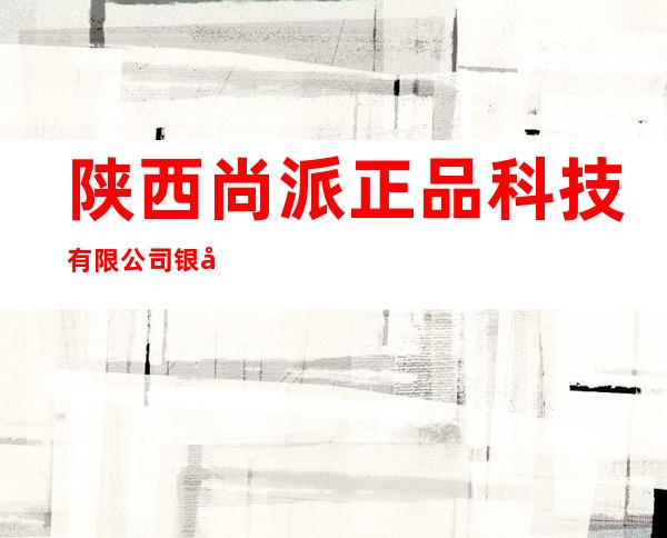 陕西尚派正品科技有限公司银川第六分公司